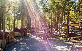 Camping Pod Heaven